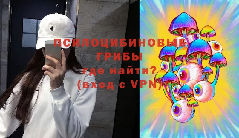 магазин продажи наркотиков  Бирюсинск  Галлюциногенные грибы MAGIC MUSHROOMS 